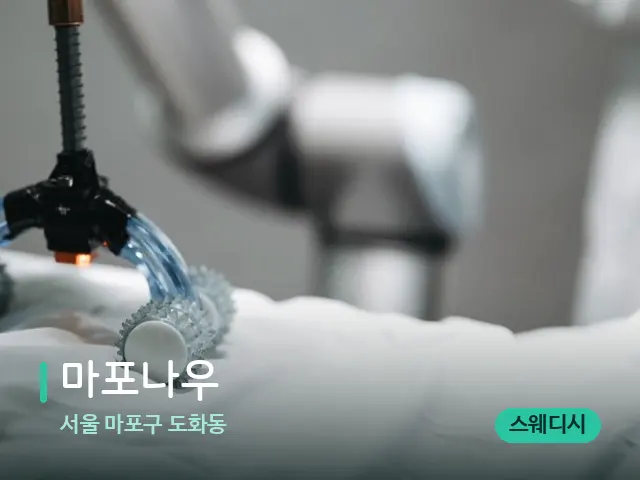 서울 마포구 도화동 마포나우 — 등·허리 관리 장면