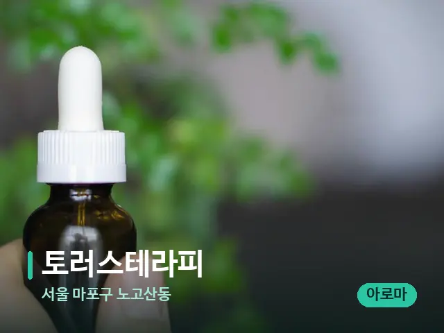 서울 마포구 노고산동 토러스테라피 — 마사지 오일과 도구